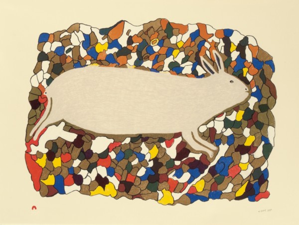 Papiara Tukiki Lithograph 22.25 x 29.75 600 startled hare inuit print cape dorset