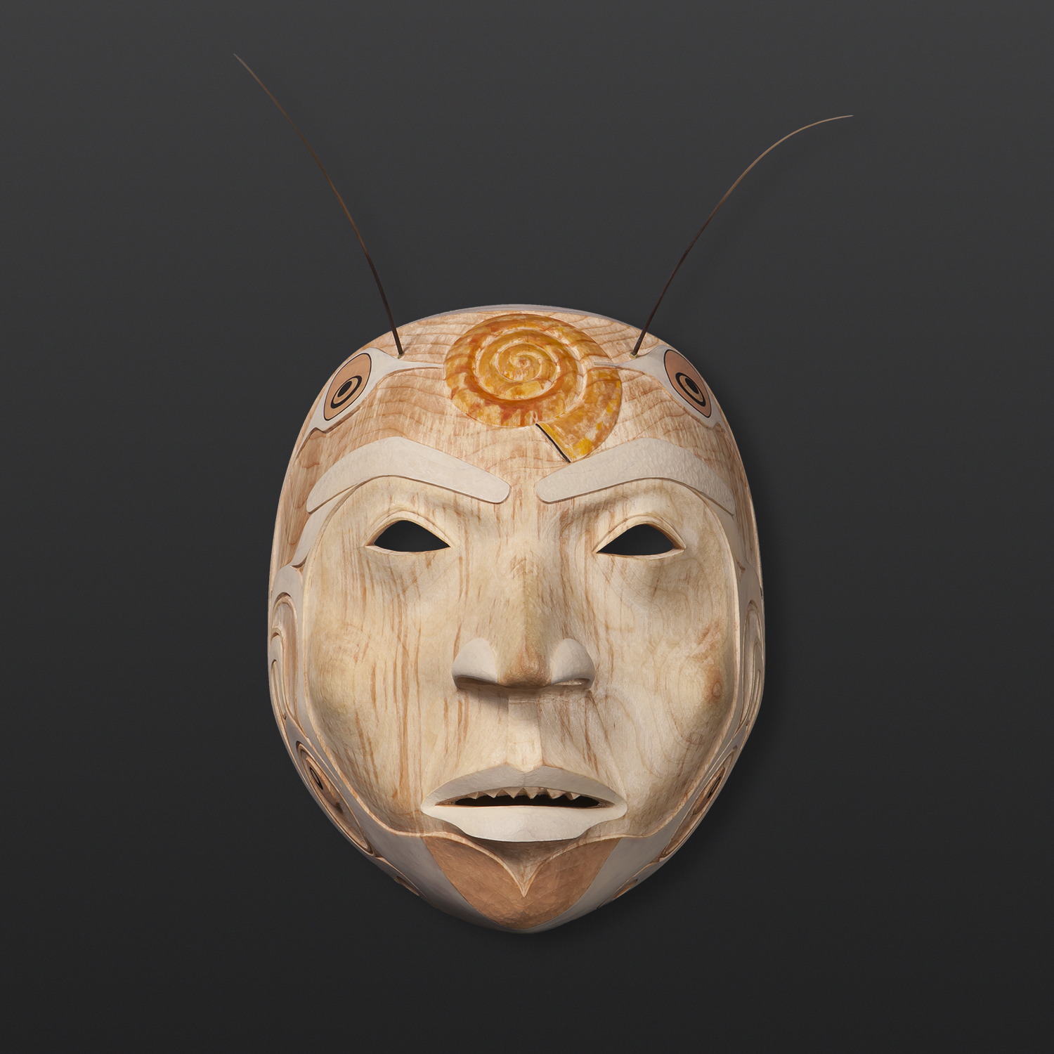 Prince Snail Shawn Aster Tsimshian Yellow cedar, paint, sea lion whiskers $5500