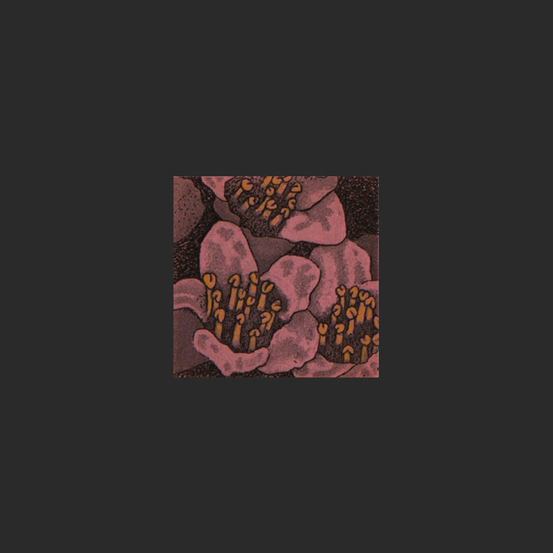 FIRST FLOWER Germaine Arnaktauyok Inuit 31/60 6” x 6” $85