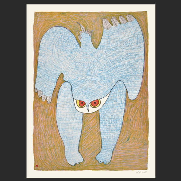 Ruffled Feathers Ningeokuluk Teevee Lithograph 30 x 22 700 inuit print cape Dorset