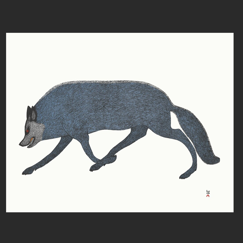 QUVIANAQTUK PUDLAT
32. Tundra Wolf
Stonecut
Paper: Kizuki Kozo White
Printer: Qavavau Manumie
61.8 x 79.2 cm
24 ¼” x 31”
$ 900
$700
