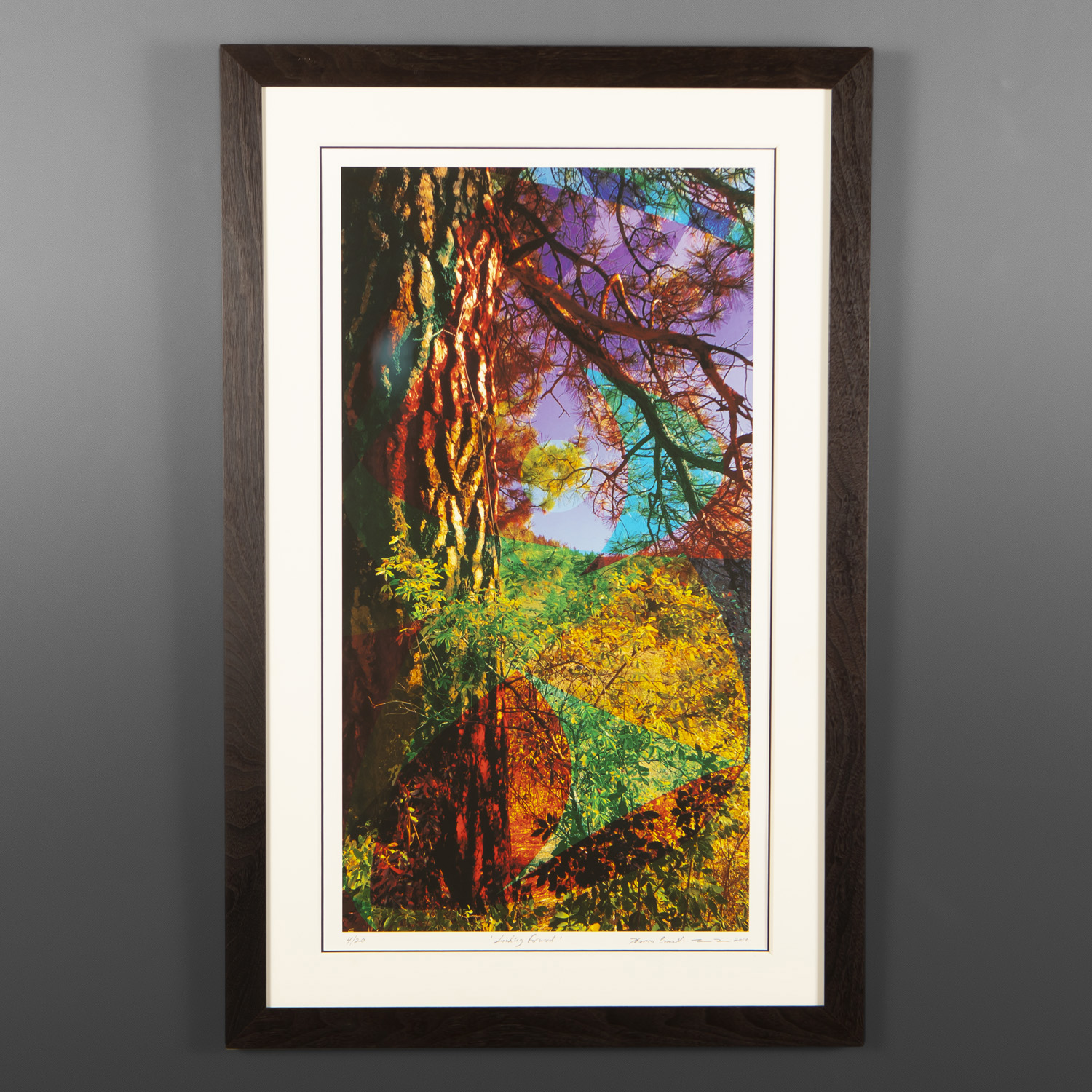 Looking Forward
Thom Cannell
Coast Salish
Framed HDR pigment on archival paper, Edition of 20
39" x 25"
$450