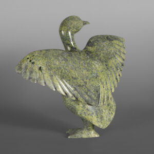 Dancing Bird
Pudlalik Shaa
Inuit
Serpentine
12” x 9” x 4”
$2100
