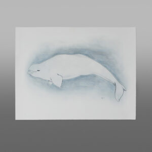Beluga