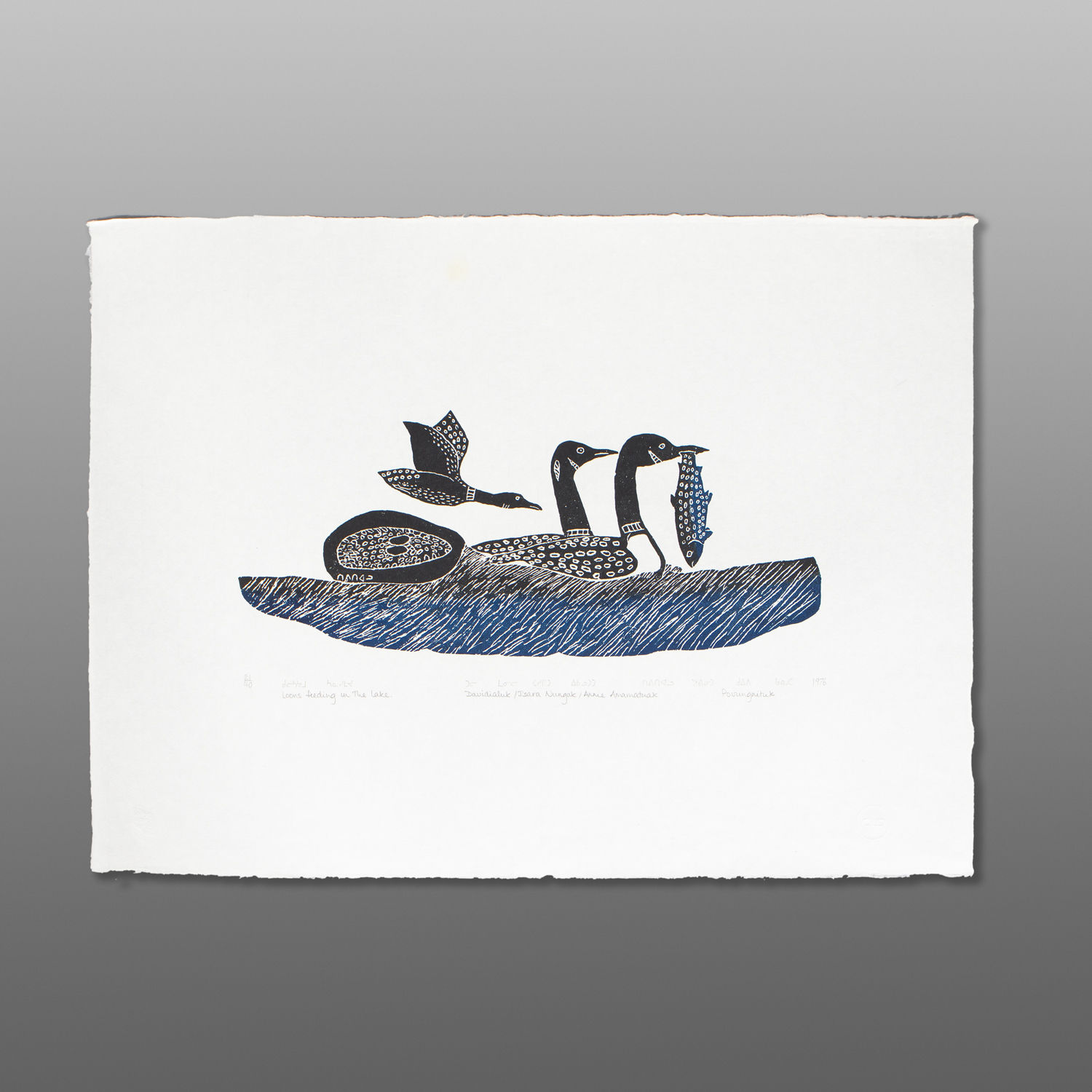 Loons Feeding in The Lake
Davidialuk Alasua Amittu
InuitStonecut
21½" x 29"
