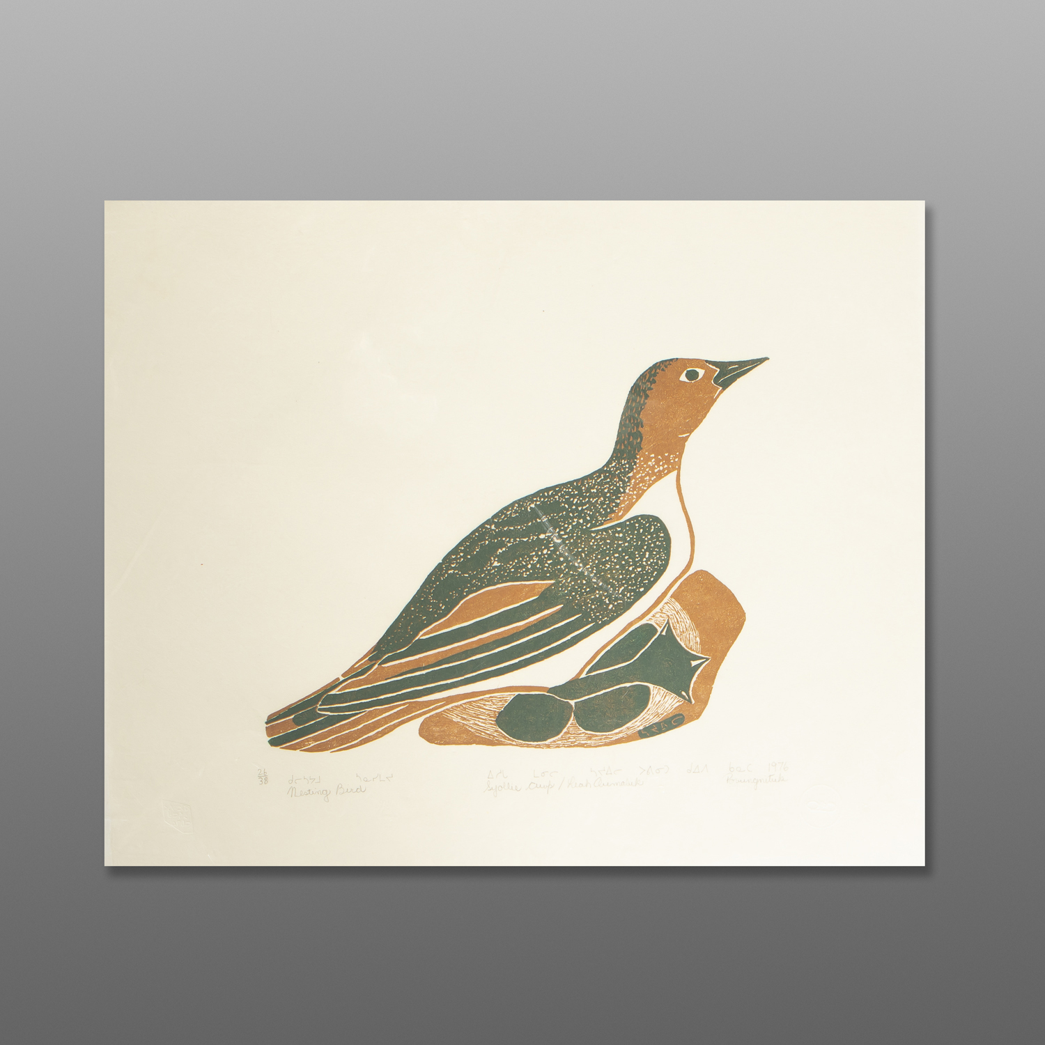 Nesting Bird
Syollie Amituk Awp
InuitStonecut and stencil
21½" x 18
