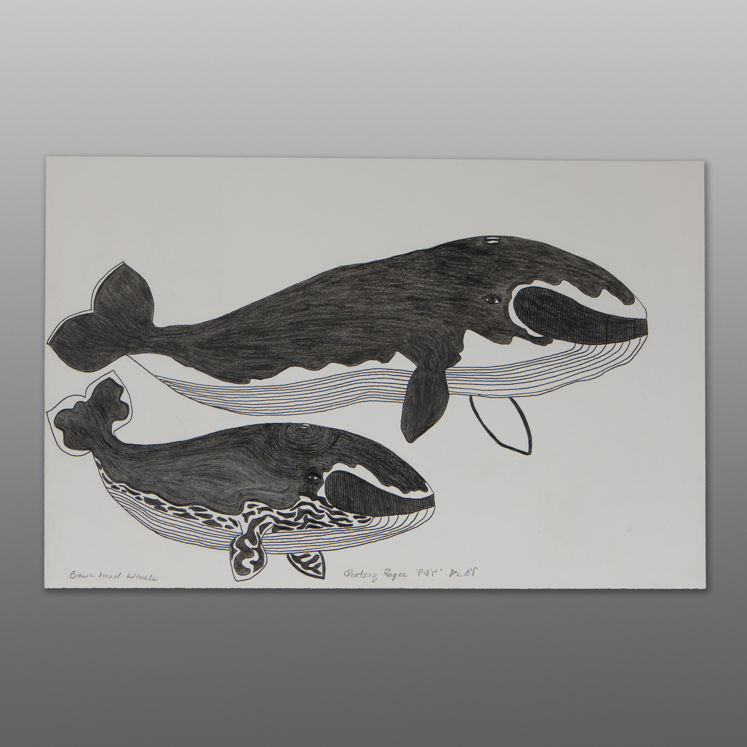 Bowehead Whale
Qiatsuq Ragee
Inuit
Graphite, colored pencil, ink on paper
23" x 15"
$300 retail cadCD 181-16