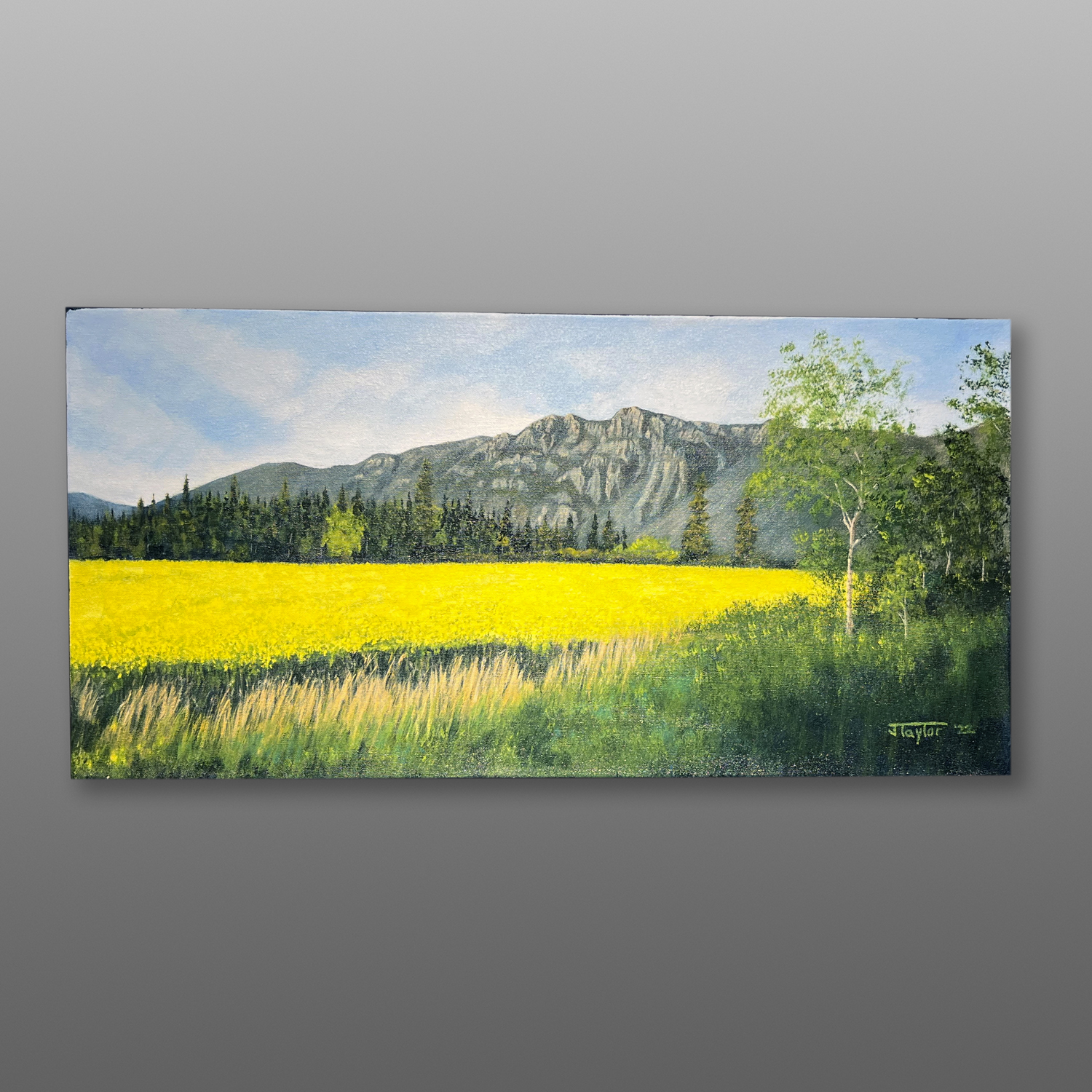 Leaving Idaho
Jean Taylor
Tlingit
Acrylic on canvas
30" x 15" x 1½”
$1280