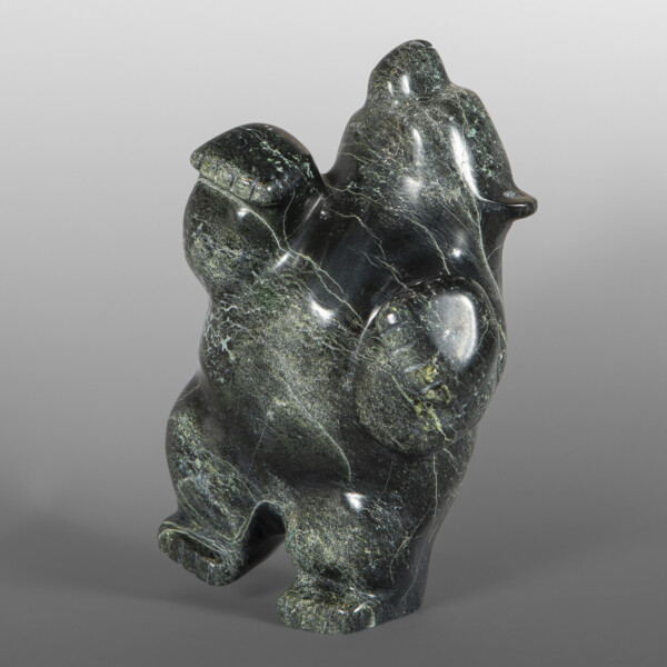 Dancing Bear Papigatok