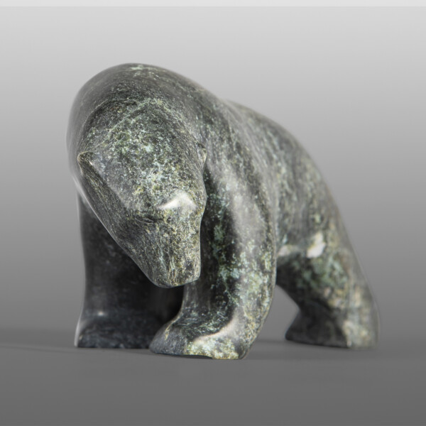 Sniffing Bear