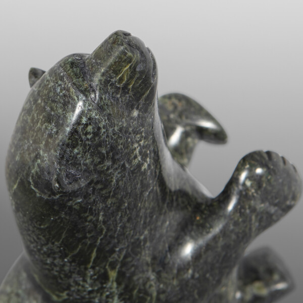 Marching Bear