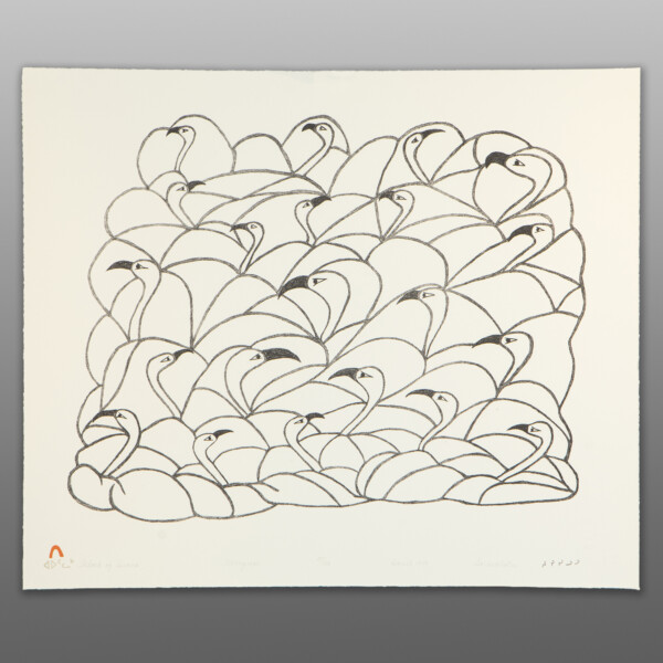 Flock of Swans
