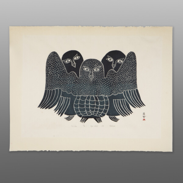 Owl Trio