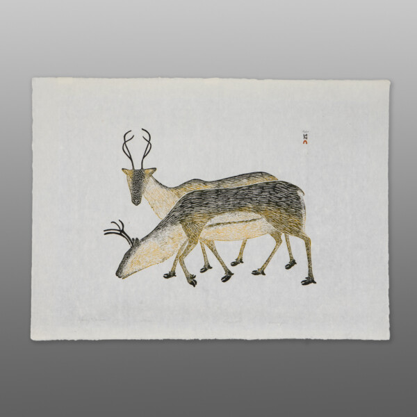 Young Caribou
Kananginak Pootoogook
InuitSerigraph
34" x 25"
