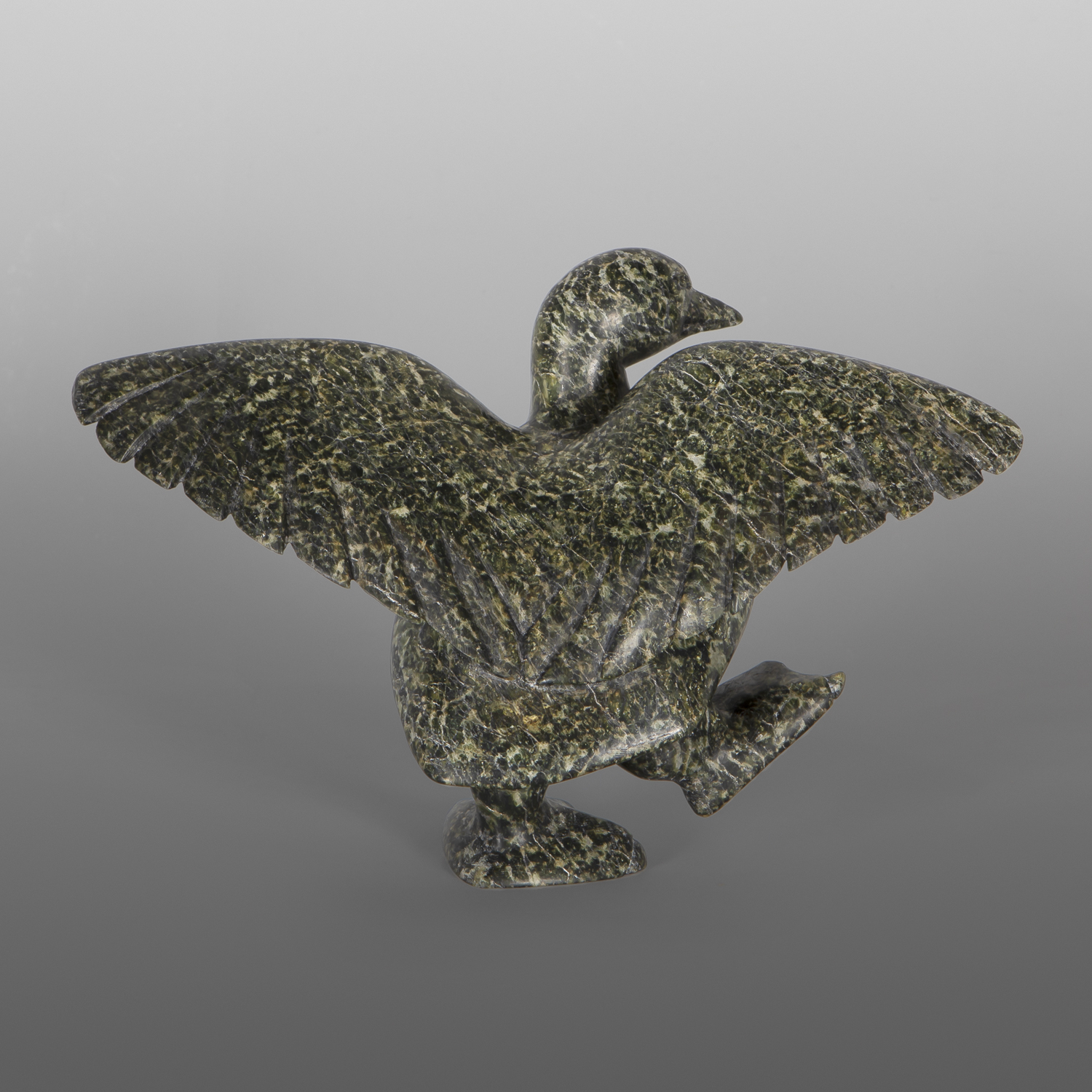 Preparing to Fly
Pudlalik Shaa
Inuit
Serpentine
11" x 7" x 6"
2,400