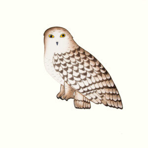 PAUOJOUNGIE SAGGIAK Noble Owl Etching, Aquatint & Hand Painting Printer: Studio PM 67 x 69.5 cm; 26 1/2 x 27 1/2 in. $560 US