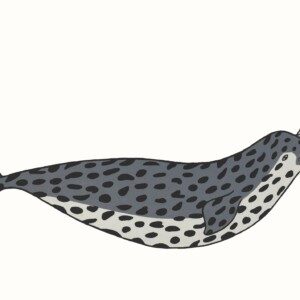 PAUOJOUNGIE SAGGIAK
22. Happy Narwhal
Stonecut
Paper: Kizuki Kozo White
Printer: Qiatsuq Niviaqsi
53 x 94.5 cm
20 ¾” x 37 ¼”
$ 600
$480
450