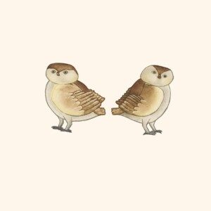 KILLIKTEE KILLIKTEE
Inuit
24. Owlettes
Etching & Aquatint
Paper: Arches White
Printer: Studio PM
29.3 x 38.3 cm
11 ½” x 15”
$ 500
$400
375