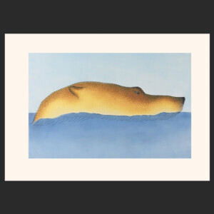 Observant Bear
Quvianaqtuk Pudlat
Etching & Aquatint
31½ x 44 ¼
$1200
900
