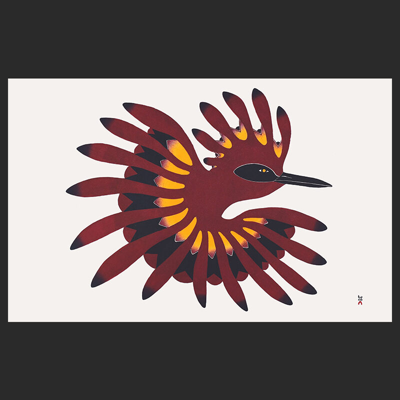 Rebirth
Qavavau Manumie
Stonecut & Stencil
24½ x 38½
$1000
750
