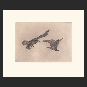 OLOOREAK ETUNGAT
15 3/4 x 1
14. Misty RavensEtching & Chine ColléPaper: Arches WhitePrinter: Studio PM40 x 48.5 cm$ 450