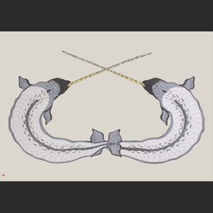 QUVIANAQTUK PUDLAT
30 x 43
15. Sparring NarwhalsLithographPaper: BFK Rives GreyPrinter: Niveaksie Quvianaqtuliaq76.5 x 109 cm$ 1400