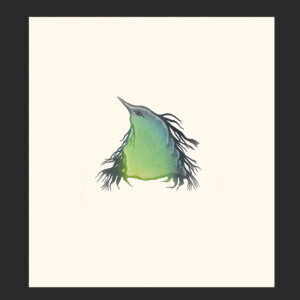 12. Fledgling
Pitaloosie Saila
Inuit
Etching & Aquatint
Paper: Arches White
Printer: Studio PM
29.5 x 26.8 cm
11 ½” x 10 ½”
$400
$320
Cape Dorset Print Collection  2020