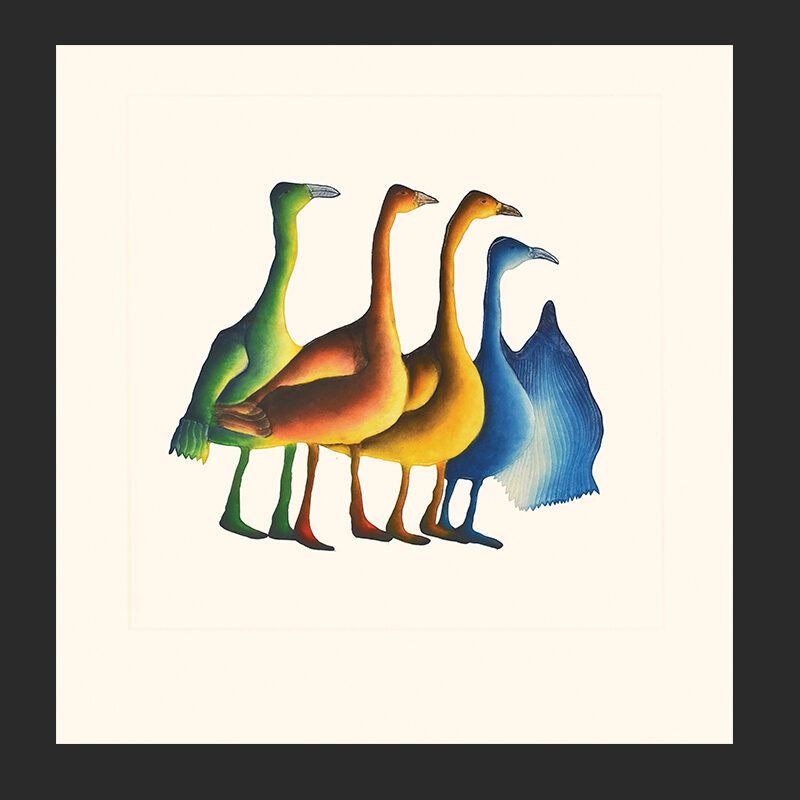 13. Gaggle of Geese
Pitaloosie Saila
Inuit
Etching & Aquatint
Paper: Arches White
Printer: Studio PM
82.5 x 79.5 cm
32 ½” x 31 ¼”
$900
$720
Cape Dorset Print Collection  2020