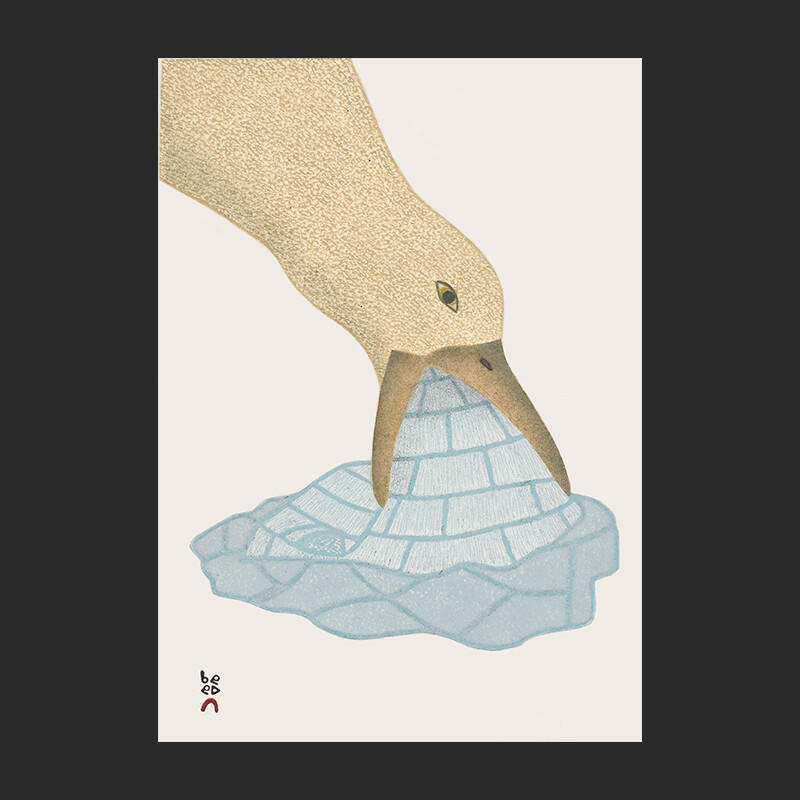 QAVAVAU MANUMIE
22. Icy Treat
Stonecut & Stencil
Paper: Kizuki Kozo White
Printer: Qavavau Manumie
38 x 27 cm
15" x 10¾”
$ 450
360