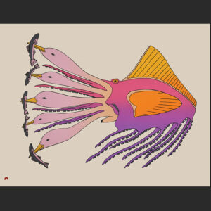 Octopus Transformation