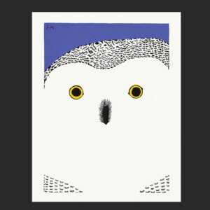 30. Okpik Selfie
Pee Ashevak
Inuit
Stonecut
Paper: Kizuki Kozo White
Printer: Cee Pootoogook
46 x 35.3 cm
18” x 13 ¾”
$500
$400
Cape Dorset Print Collection  2020