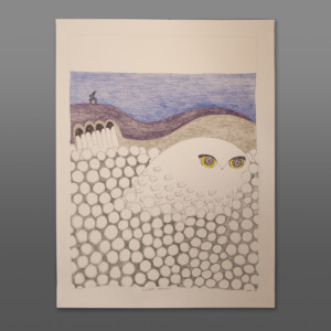 Ookpik in the Cotton Grass
(Hiding from Raven)
Ningiukulu Teevee
Color pencil, ink on paper
25½” x 19½”
1300CAD