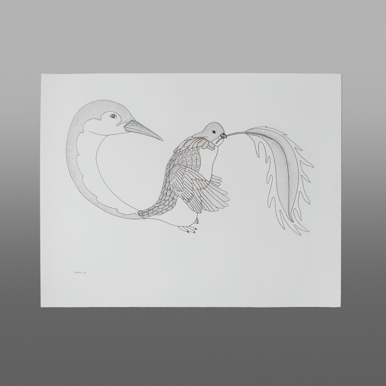 Bird Dreams
Qavavau Manumie
Inuit
Color pencil, ink
26" x 20"
$800
800 rt cad
072-1531 cons