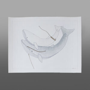 Whales
Qavavau Manumie
Inuit
Color pencil, ink
25 ½” x 19 ½”
$800
800 RT CAD072-2458-cons

