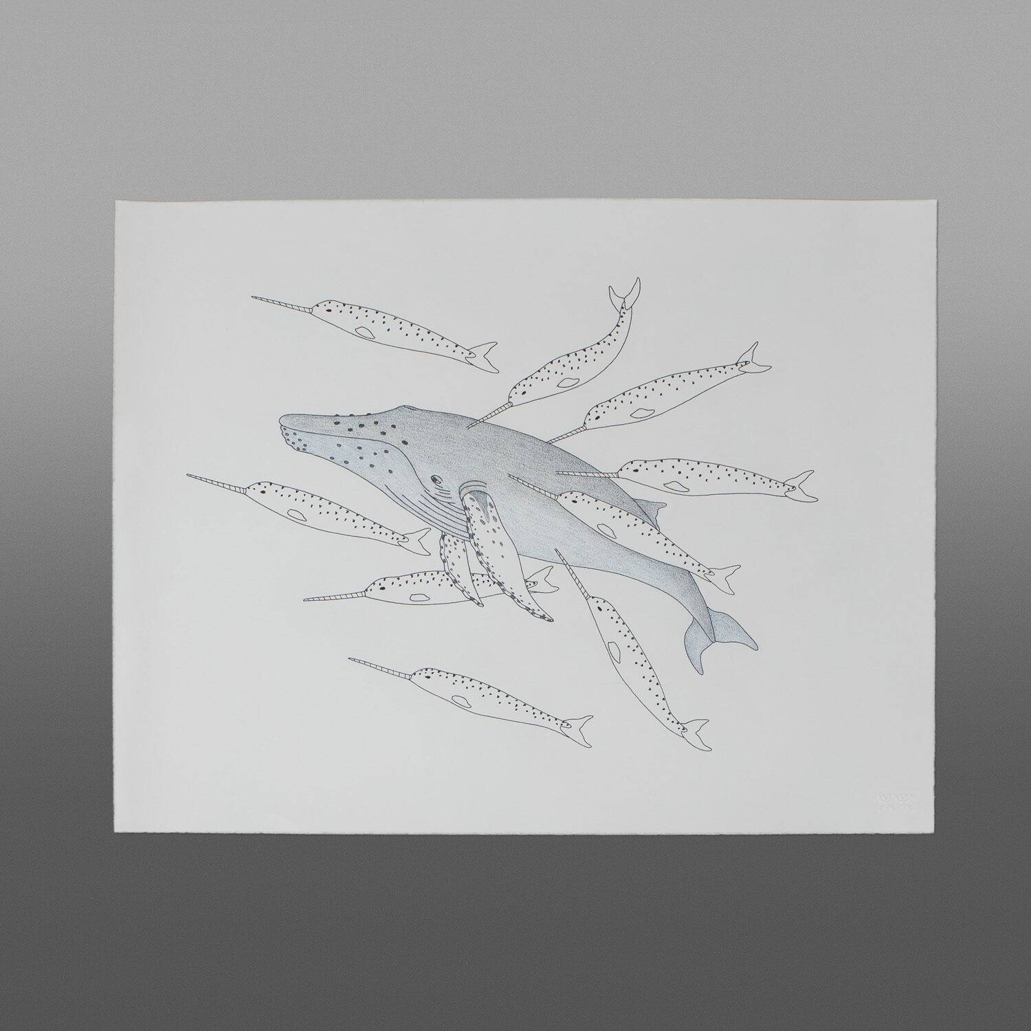 Humpback and Narwhals
Qavavau Manumie
Inuit
Color pencil, ink
26" x 20"
$800
800 rt cad
072-1623
