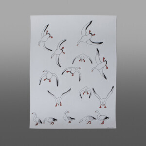 Snow Geese Alighting
Quvianaqtuk Pudlat
Inuit
Ink, color pencil
30" x 23"
1000 rt cad
220-0079 cons
$1100Arctic Bird Show 2024
