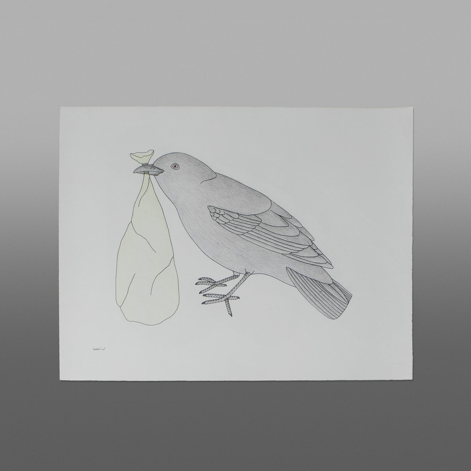 Bag of Treasure
Qavavau Manumie
Inuit
Color pencil, ink
26" x 20"
$800
800
072-1796 paid
