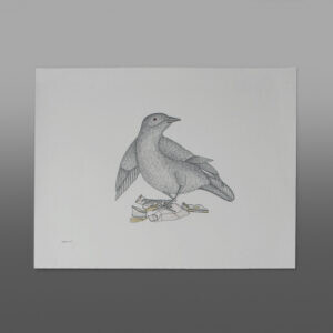 800 RT CAD
072-1155 - paid