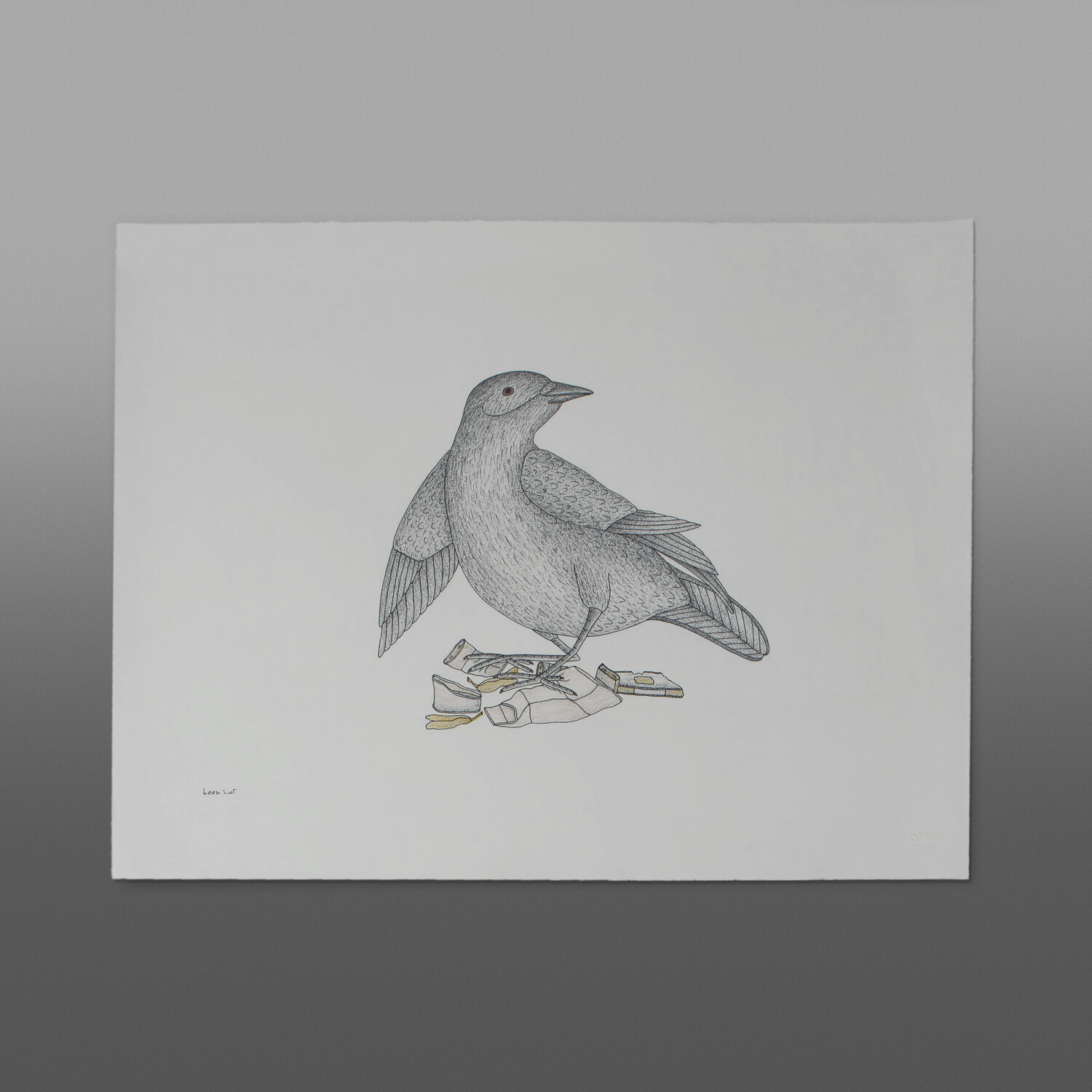 800 RT CAD
072-1155 - paid