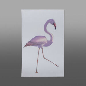 Flamingo Dream
Padloo Samayualie
Inuit
Color pencil, ink
23" x 15"
900 RT  CDN
196-0353 - cons
