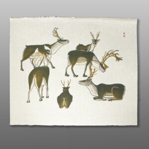 "Resting Caribou"
Kananginak Pootoogook
InuitStonecut
28⅓" x 24