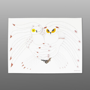 Dancing Owls
Ooloosie Saila
InuitInk and coloured pencil on paper
23" x 30"
1400CAD
$960219-0087