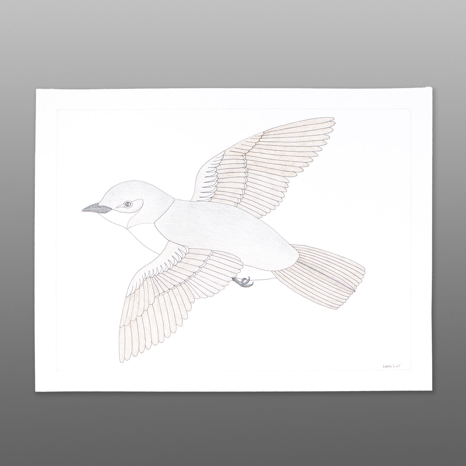 In Flight

Qavavau Manumie
Inuit

Color pencil, ink on paper
26" x 20"

$800