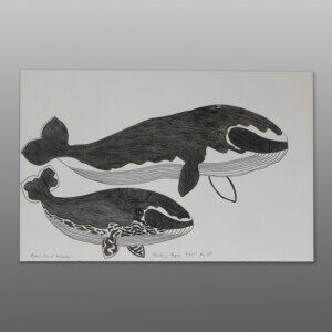 Bowehead Whale
Qiatsuq Ragee
Inuit
Graphite, colored pencil, ink on paper
23" x 15"
$300 retail cadCD 181-16