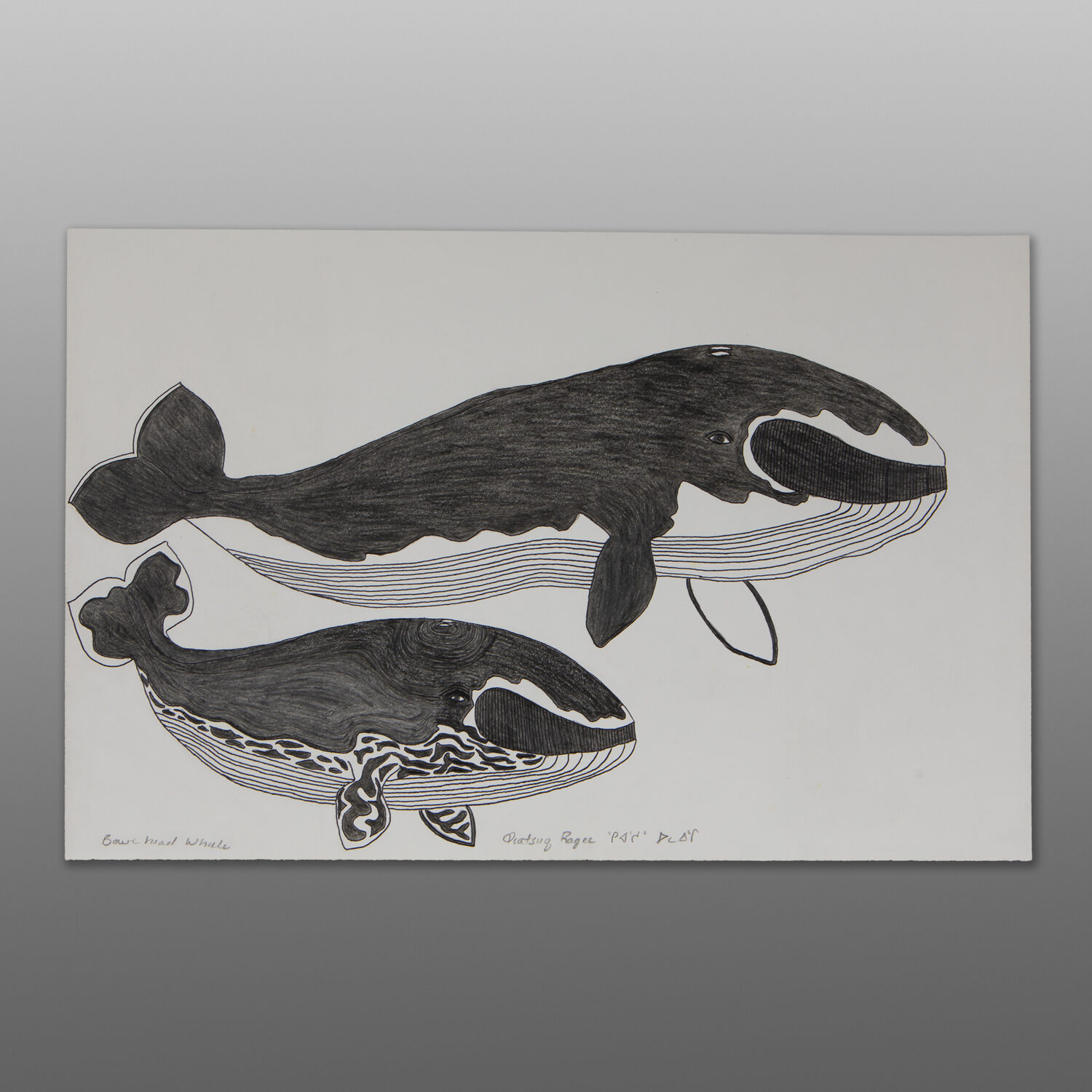 Bowehead Whale
Qiatsuq Ragee
Inuit
Graphite, colored pencil, ink on paper
23" x 15"CD 181-16