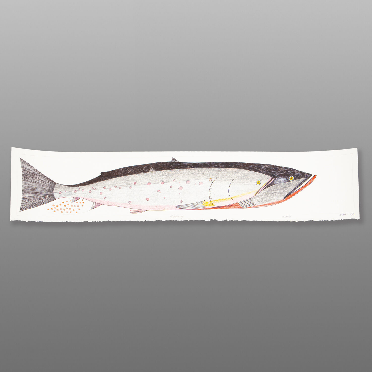 Spawning
Ningiukulu Teevee
Inuit
Colored pencil, ink on paper
30" x 6¼"CD 151-1508