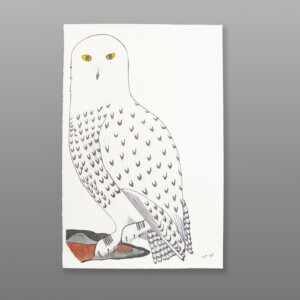 Untitled Owl
Pauojoungie Saggiak
InuitOriginal Print
23" x 15"
$400210-41