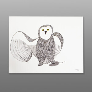 Owl with Prey
Pee Ashevak
InuitInk on paper
30"x 23"Owl with Prey
Pee Ashevak
InuitInk on paper
30"x 23"
$800221-0051
