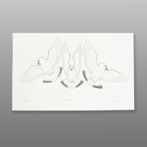 Ptarmigans
Killiktee Killiktee
InuitColoured pencil and ink on paper
23" x 15"
$350206-0139