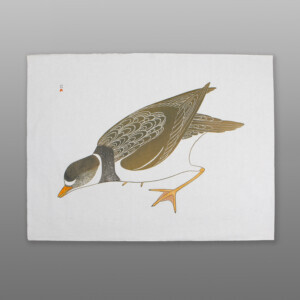 Bird on Shore
Kananginak
Inuit1985 Serigraph
22.5" x 31"
$1650Arctic Bird Show 2024